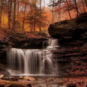 Meet your Posher, Rinthiya